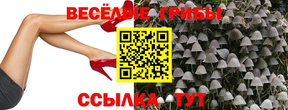 Псилоцибиновые грибы ЛСД Прохладный