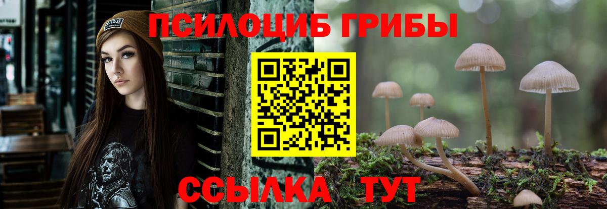 Прохладный  Псилоцибиновые грибы ЛСД  купить наркоту  Вход с VPN  Псилоцибиновые грибы MAGIC MUSHROOMS 